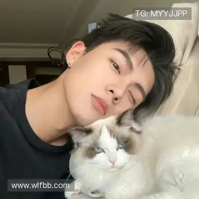 石芯笛